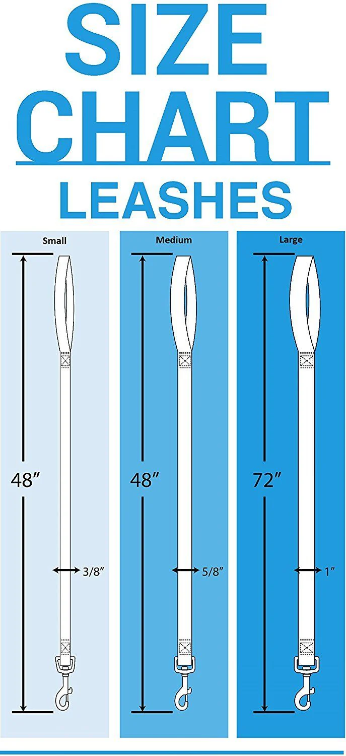 NHL DOG LEASH - Image 4